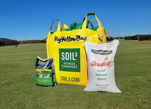 November Tall Fescue Lawn Tips for 2025