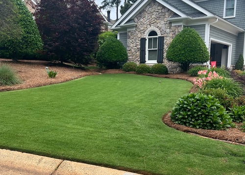 June Warm Season Lawn Tips for 2025