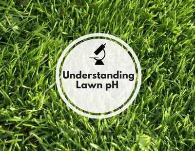 Understanding Lawn pH