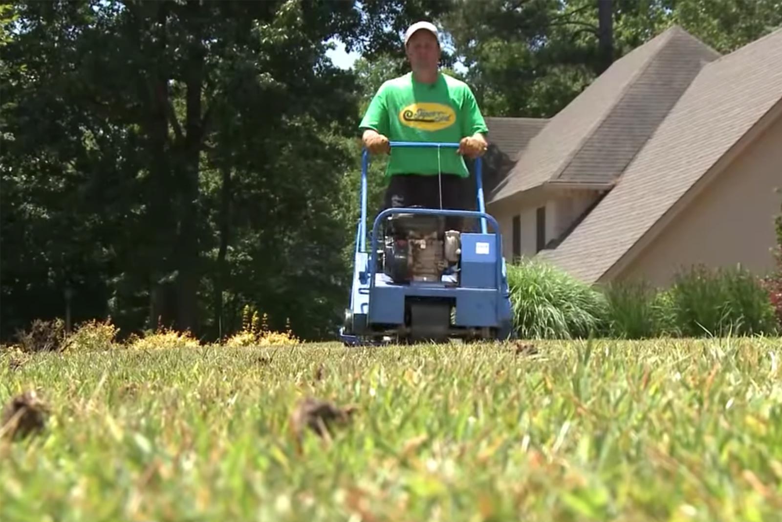 Dethatch lawn with online mower