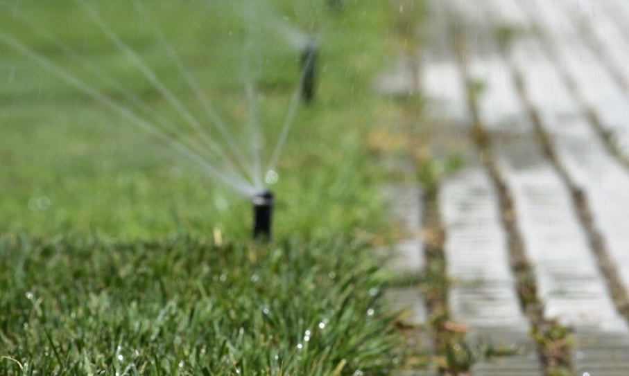 how to care your lawn when its hot