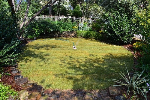 Sod Installation Details