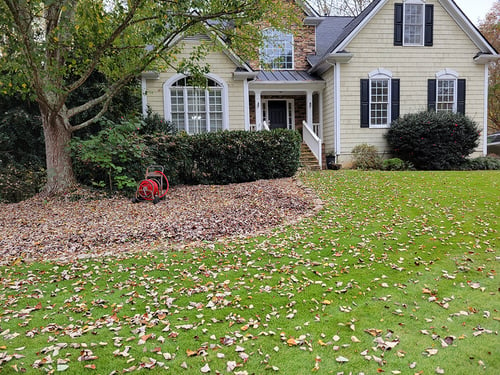 Why Is It Important to Rake Fall Leaves from the Lawn?