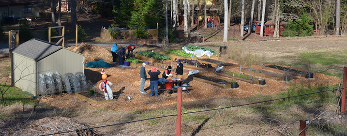 10 raised beds
