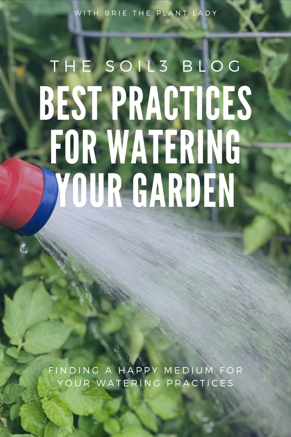 BEST WATERING PRACTICES2