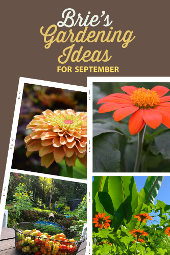 Brie September Gardening Ideas Pin-1