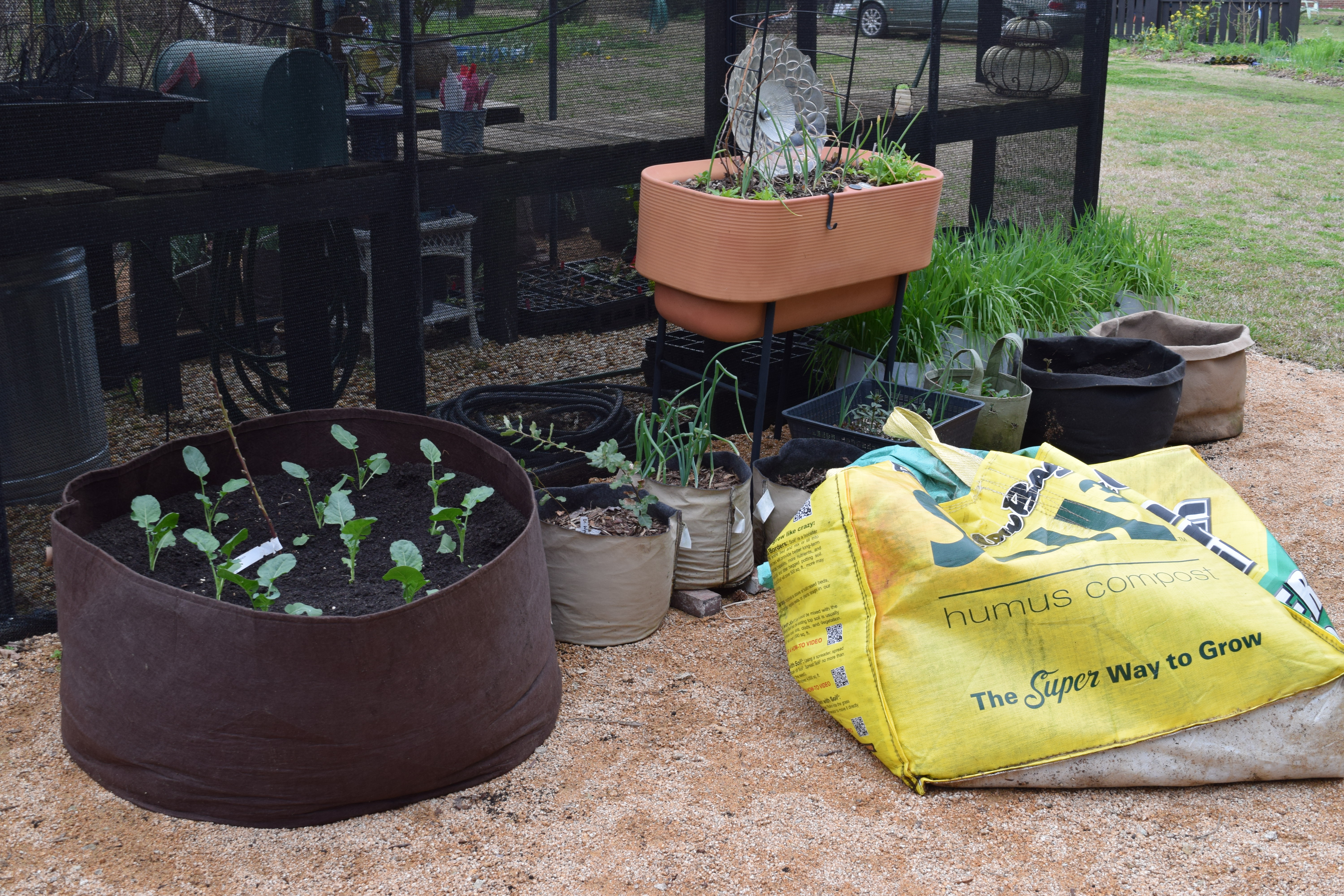 BigYellowBag of Soil3 is almost empty