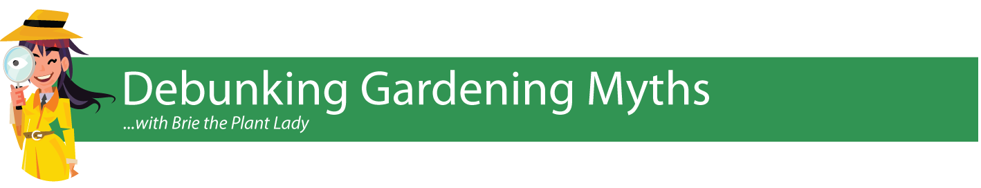 Debunking-Gardening-Myths