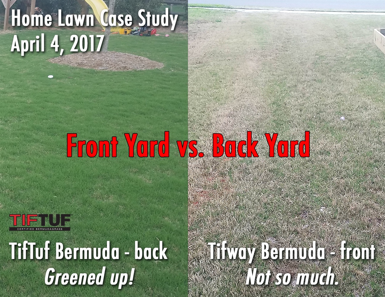 Faster Spring Green Up