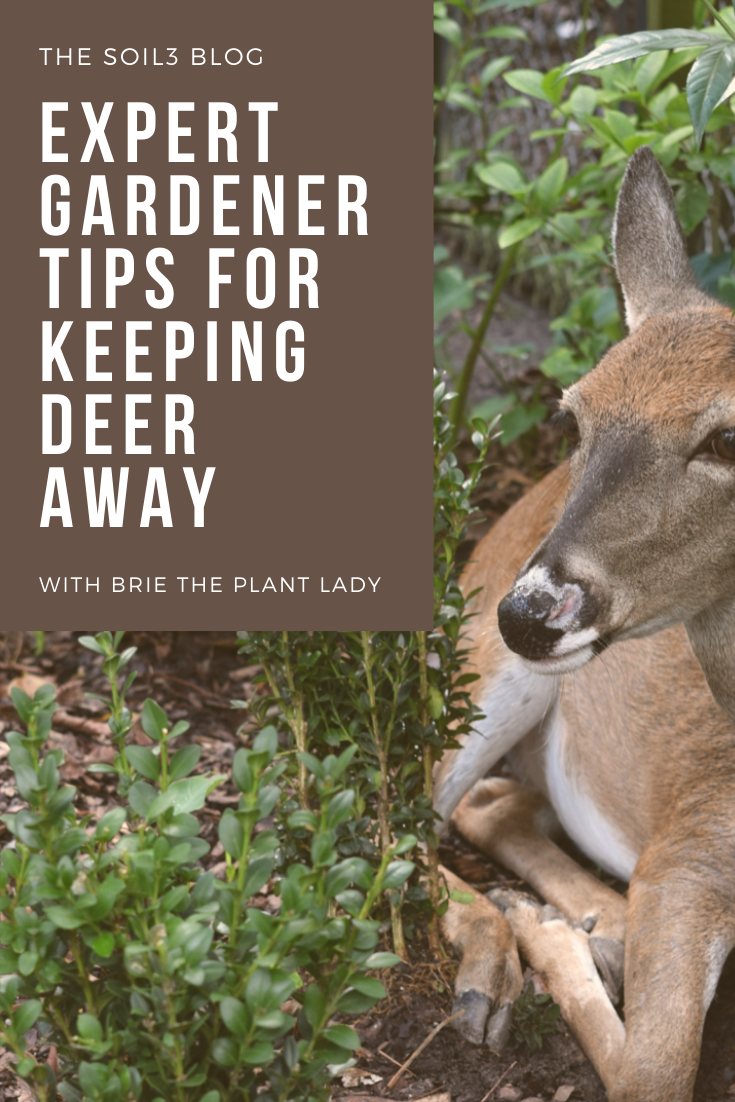 Keep Deer Away