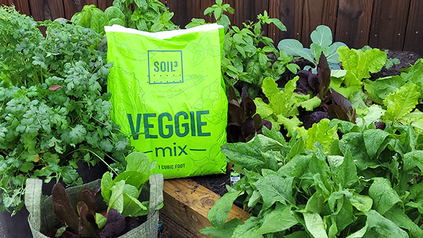 Veggie Mix Mini Cube