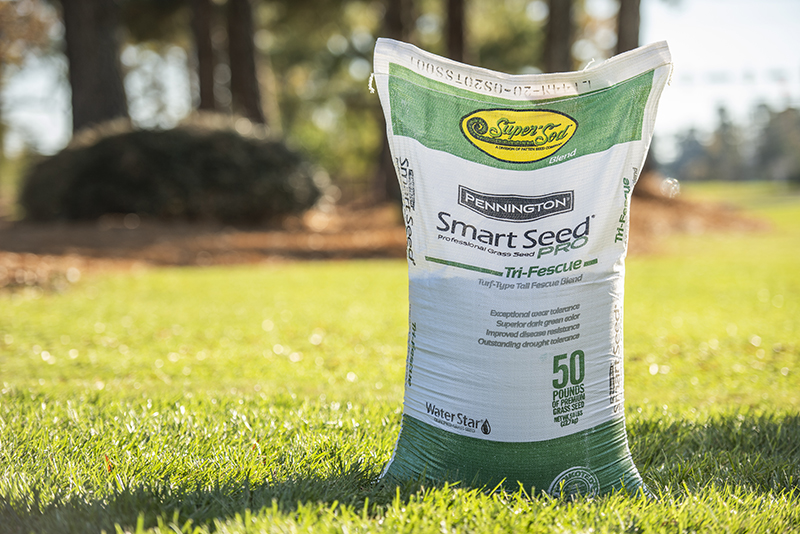 Elite Tall Fescue grass seed Super-Sod 50 pounds lbs