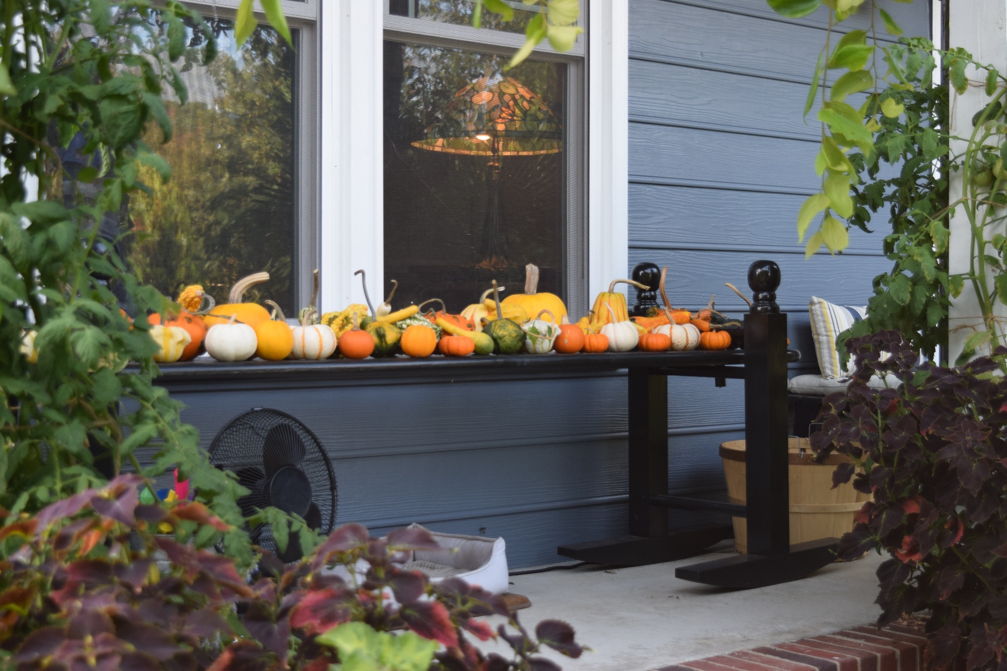 fall decorations from NC farmers market-1