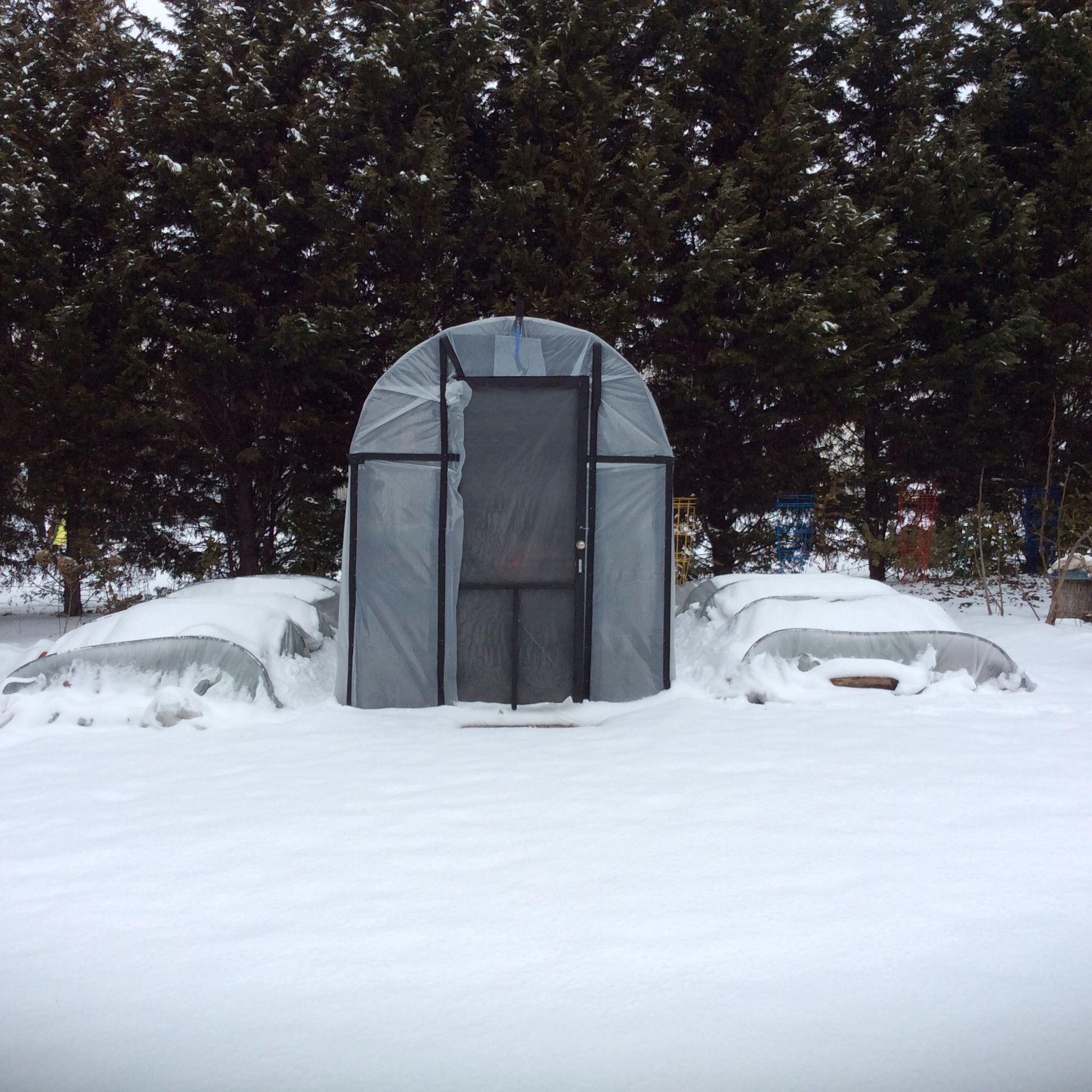 covering collapsing under weight of snow