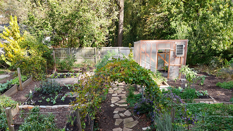 Soil3-Story-Abundance-Snackyard-Backyard1