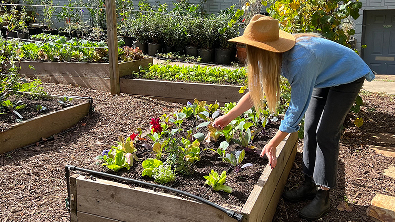Soil3-Story-Abundance-Snackyard-Backyard3