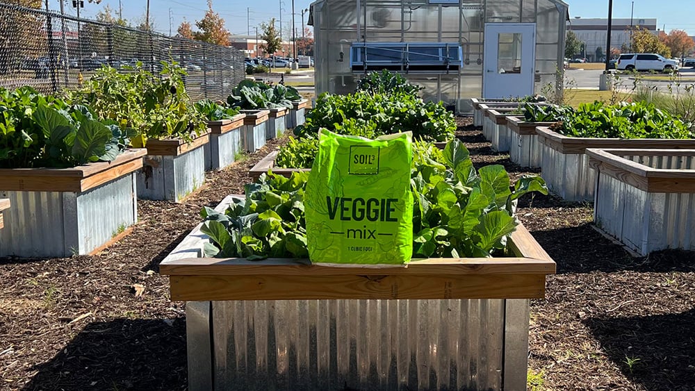 Soil3-Story-Augusta-Locally-Grown2