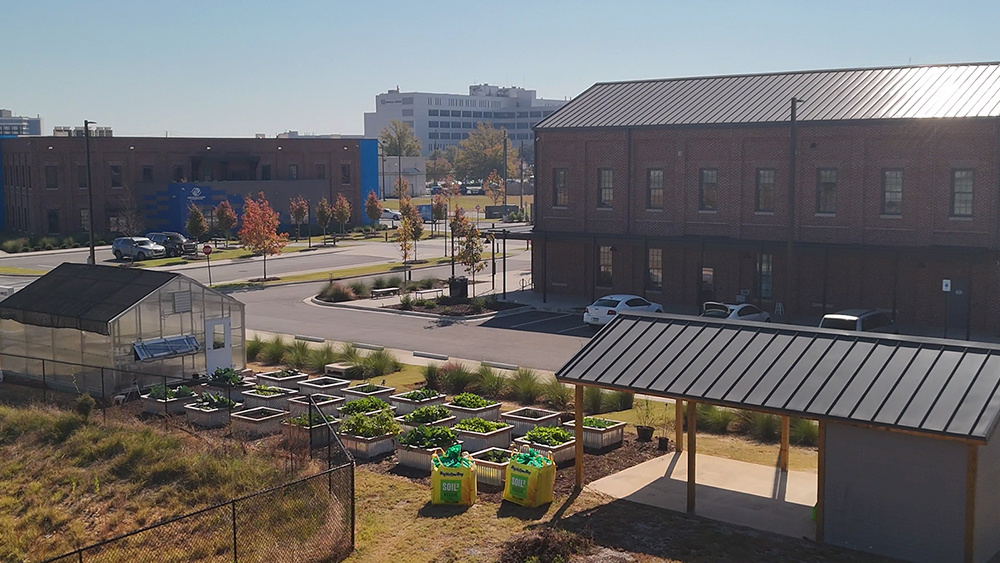 Soil3-Story-Augusta-Locally-Grown7