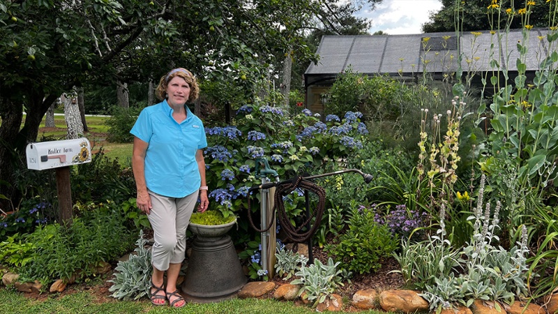 Melanie Landrum_Hydrangea-1
