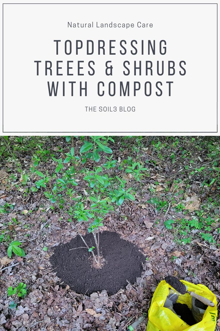 Topdressing Trees and Shrubs Compost