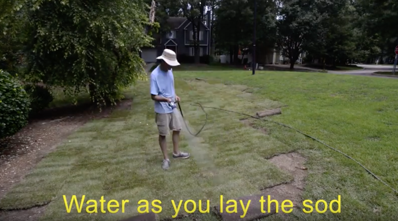 Water Sod During Installation