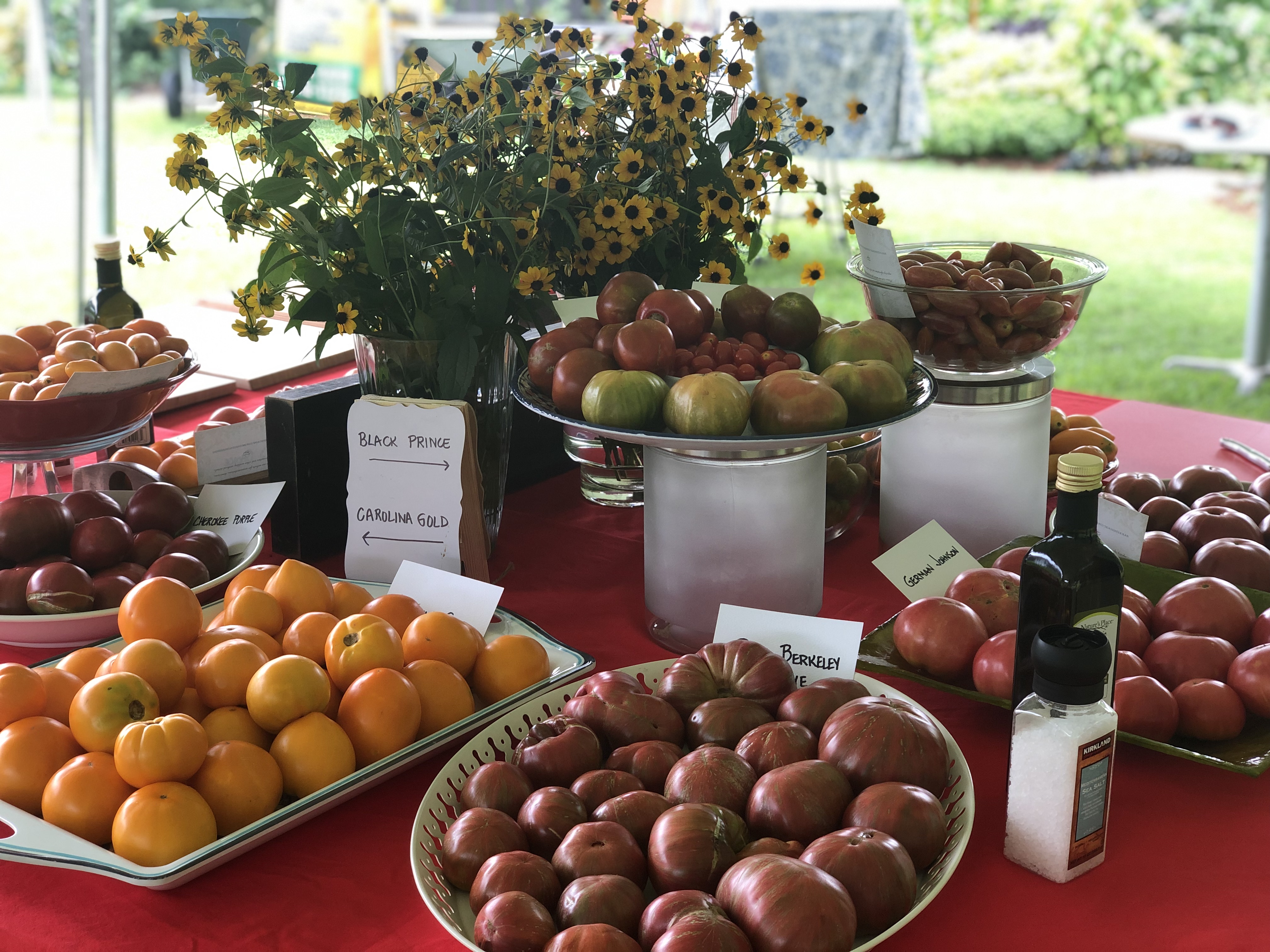 Table full of different tomato varieties ready for tasting