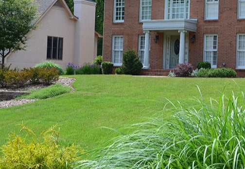 How to Seed a NEW Zenith Zoysia Lawn