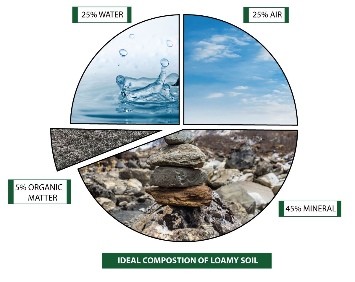soil-food-web-chart3