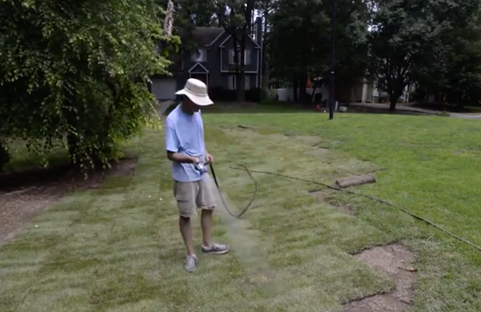 Phase 1: Watering During Installation